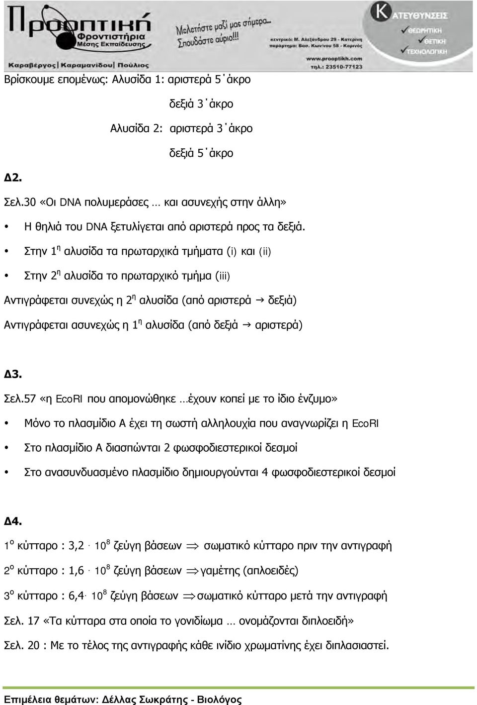 Στην 1 η αλυσίδα τα πρωταρχικά τμήματα (i) και (ii) Στην 2 η αλυσίδα το πρωταρχικό τμήμα (iii) Αντιγράφεται συνεχώς η 2 η αλυσίδα (από αριστερά δεξιά) Αντιγράφεται ασυνεχώς η 1 η αλυσίδα (από δεξιά