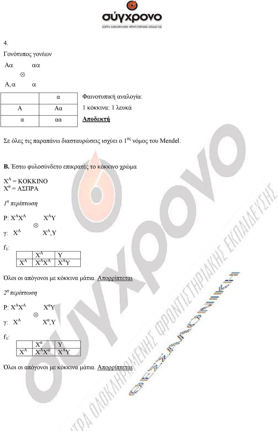 Έστω φυλοσύνδετο επικρτές το κόκκινο χρώµ Χ Α = ΚΟΚΚΙΝΟ Χ = ΑΣΠΡΑ 1 η περίπτωση P: X A X A X A Y γ: X A