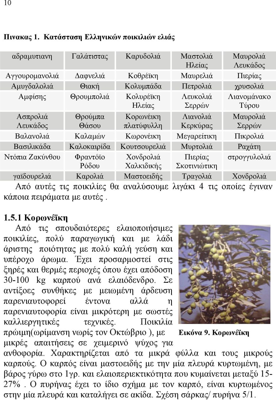 Αµφίσης Θρουµπολιά Κολυρέϊκη Ηλείας Λευκολιά Σερρών Λιανοµάνακο Τύρου Ασπρολιά Λευκάδος Θρούµπα Θάσου Κορωνέικη πλατύφυλλη Λιανολιά Κερκύρας Μαυρολιά Σερρών Βαλανολιά Καλαµών Κωρονέικη Μεγαρείτικη