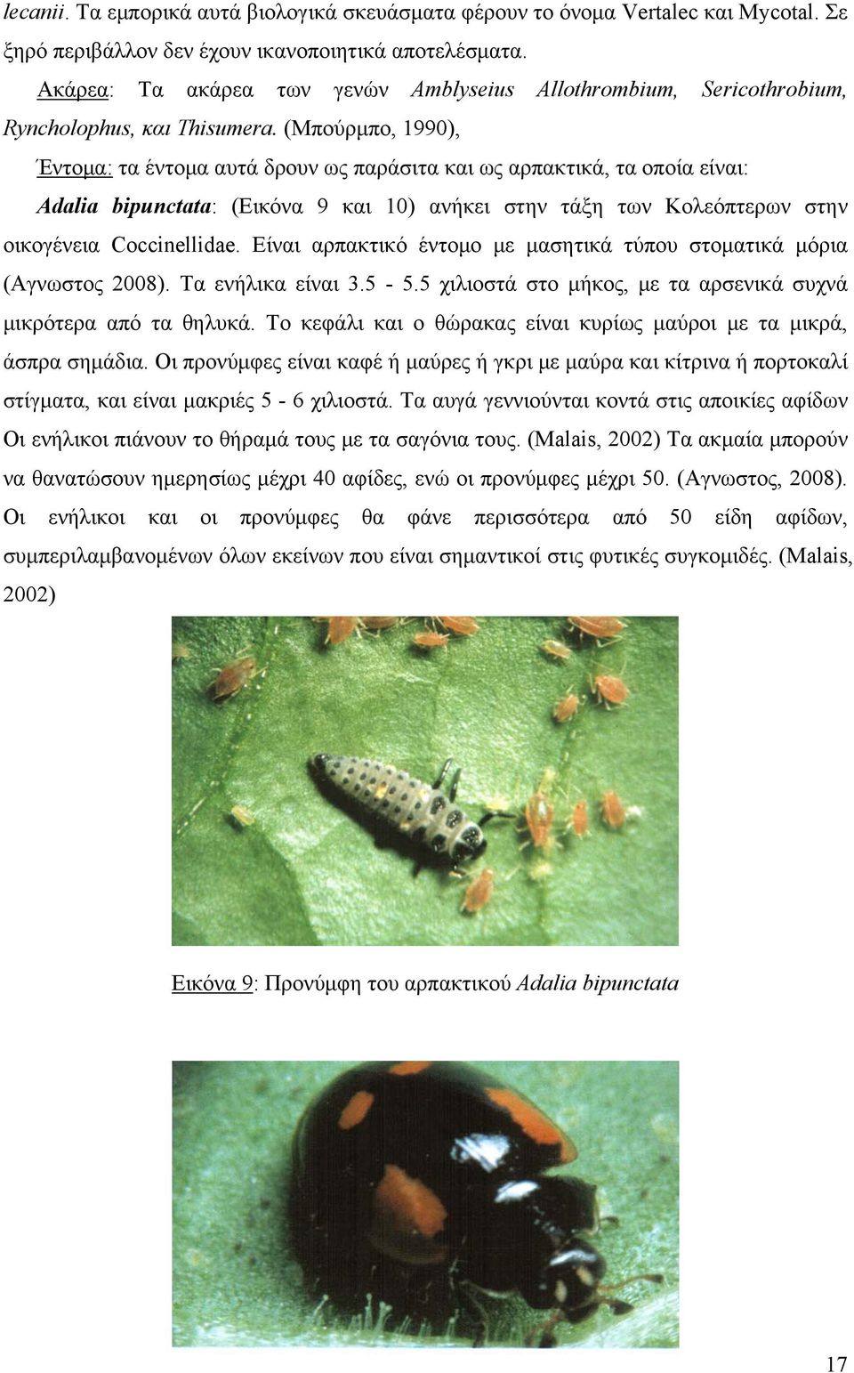 (Μπούρμπο, 1990), Έντομα: τα έντομα αυτά δρουν ως παράσιτα και ως αρπακτικά, τα οποία είναι: Adalia bipunctata: (Εικόνα 9 και 10) ανήκει στην τάξη των Κολεόπτερων στην οικογένεια Coccinellidae.