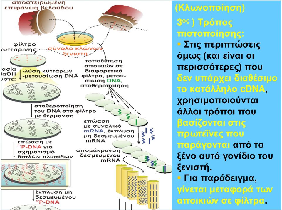 χρησιµοποιούνται άλλοι τρόποι που βασίζονται στις πρωτεΐνες που παράγονται