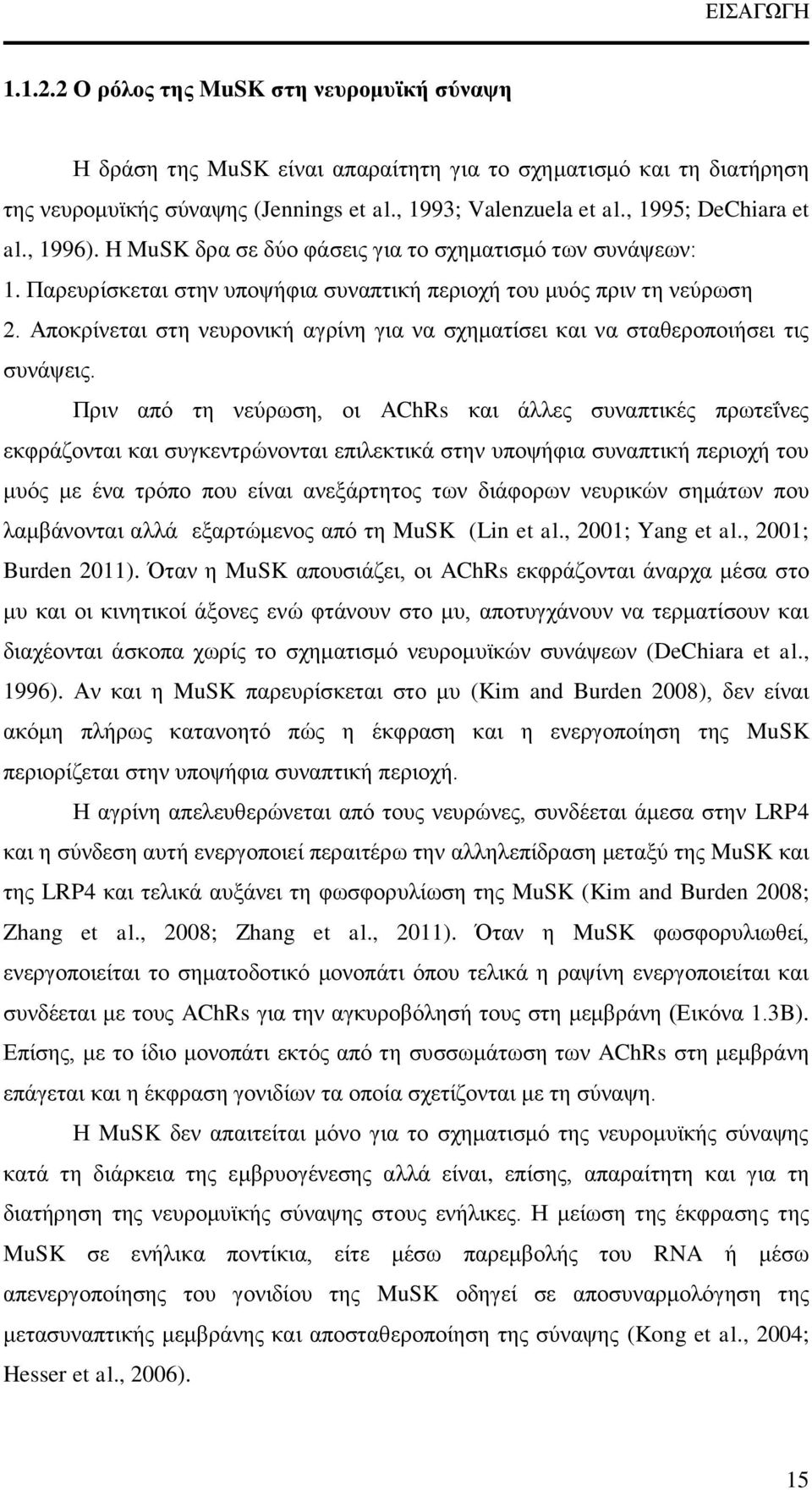 Αποκρίνεται στη νευρονική αγρίνη για να σχηματίσει και να σταθεροποιήσει τις συνάψεις.