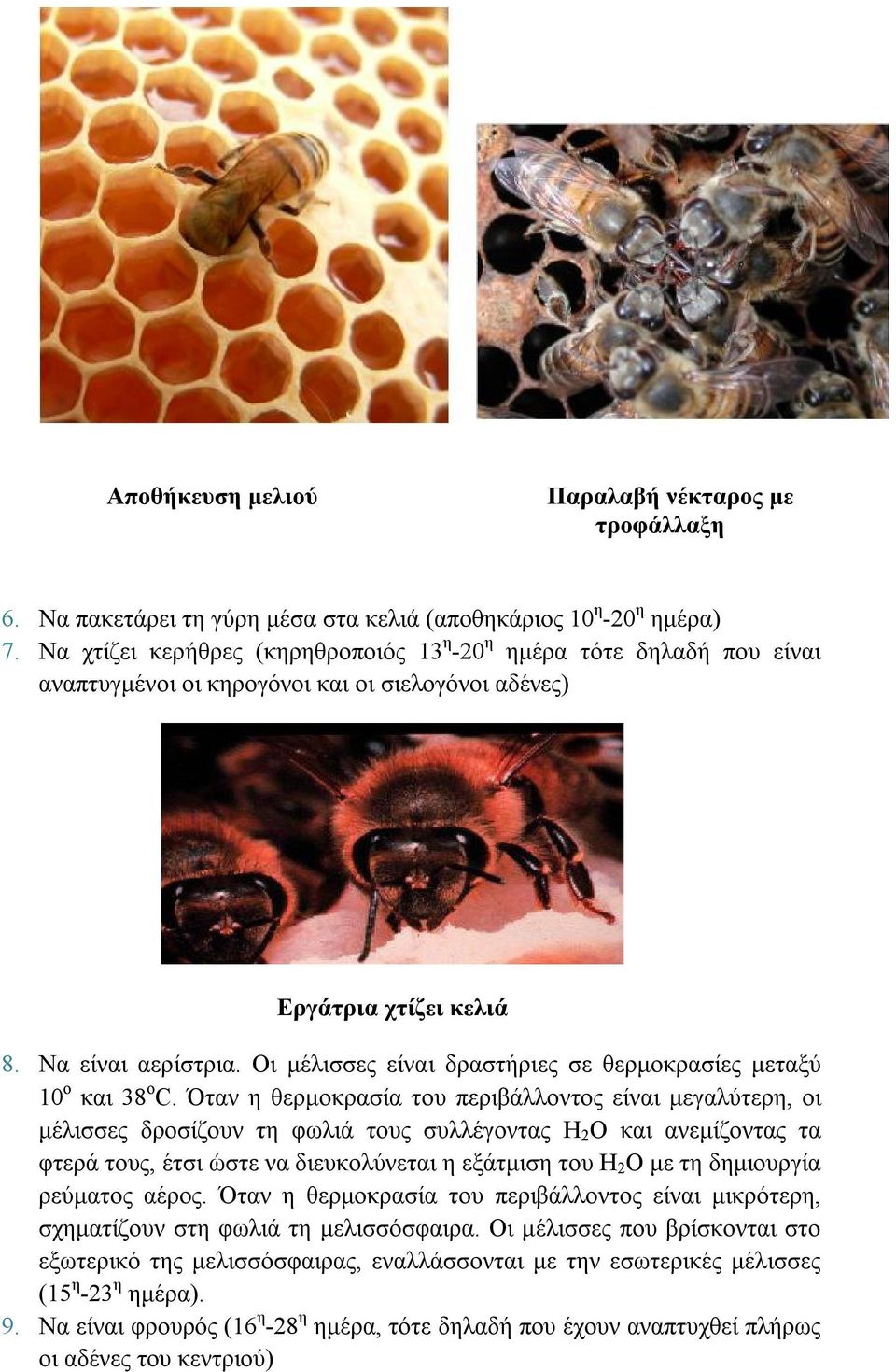 Οι μέλισσες είναι δραστήριες σε θερμοκρασίες μεταξύ 10 ο και 38 ο C.