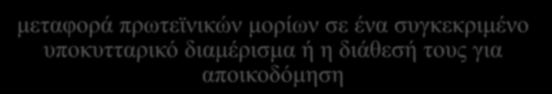 Λειτουργικός ρόλος των HSPs Συμπεριφέρονται ως συνοδές πρωτεΐνες σταθεροποίηση ευαίσθητων πρωτεϊνών ή πρωτεϊνικών συμπλόκων την αναδίπλωση ή χαλάρωση