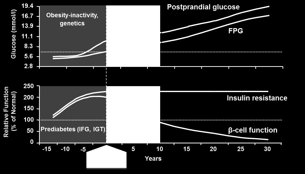 1. Simonson GD and Kendall DM. Coron Artery Dis 2005;16:465-72 2. Zimmet P et al.