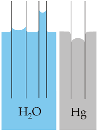 Τριχοειδή φαινόμενα Όταν η διαχωριστική επιφάνεια υγρού-αερίου εγγίσει την επιφάνεια ενός στερεού, π.χ. το τοίχωμα ενός δοχείου, καμπυλώνεται προς τα πάνω ή προς τα κάτω, κοντά στην επιφάνεια του στερεού.