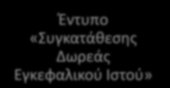 Οργανωτική Δομή της ΠΑ.ΒΙ.Ν.