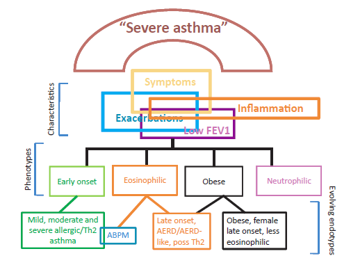 Σοβαρό άσθμα: Από τους φαινότυπους στους
