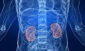 Kidney International