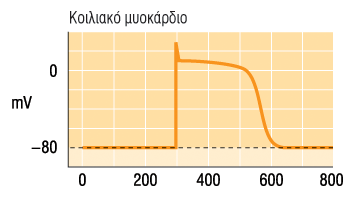 Δυναμικό Ενέργειας σε