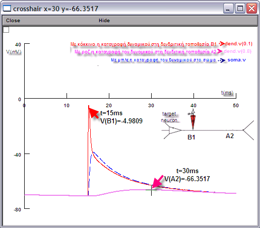63 Σχήµα 4.12 Γραφική παράσταση που καταγράφει το δυναµικό σε σχέση µε τον χρόνο όταν έχουµε εισερχόµενο σήµα στη σύναψη Β 1 του δενδρίτη (που βρίσκεται σε απόσταση 0.