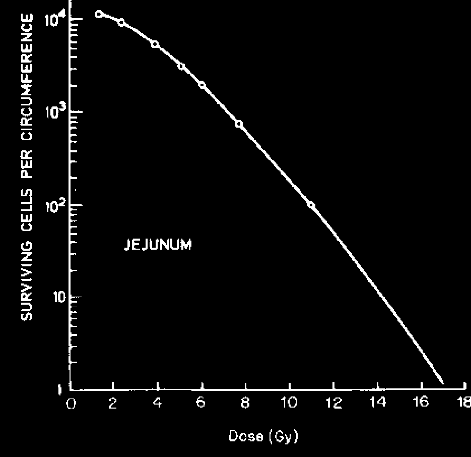 Καμπύλη επιβίωσης για κύτταρα εντερικών κρυπτών