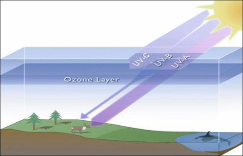 ακτινοβολίας UV-A: Αυτή η ακτινοβολία κυμαίνεται στο κενό μεταξύ 315 και 400 νανόμετρα. Είναι το πιο ακίνδυνο είδος.