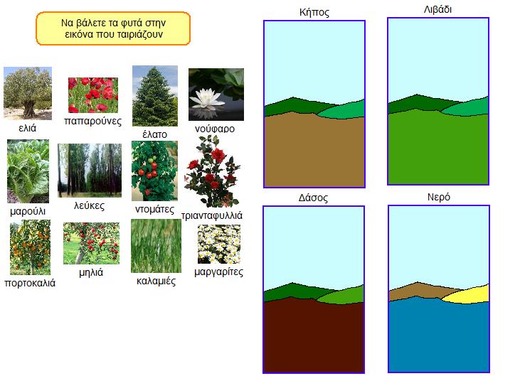 Δραστηριότητα 2 1. Ανοίξτε το αρχείο «Ομάδες φυτών Α» που βρίσκεται στο φάκελο Έγγραφά μου. 2. Να σύρετε από αριστερά ΟΛΑ τα φυτά μέσα στις εικόνες που ταιριάζουν.