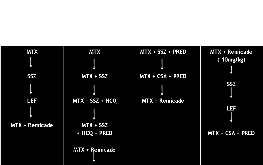 Σχεδιασμός μελέτης BeSt DAS 44 >2.4 επόμενο βήμα, DAS 44 <2.4 διατήρηση θεραπείας 2x DAS 44 <2.