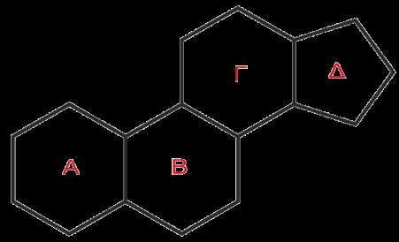 21.3.2 Σφιγγοφωσφολιπίδια Τα σφιγγοφωσφολιπίδια σχηματίζονται από σφιγγοσίνη, ένα μόριο λιπαρού οξέος και μία φωσφορική ομάδα.