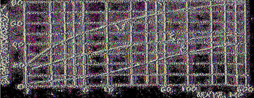 Zx.-4.