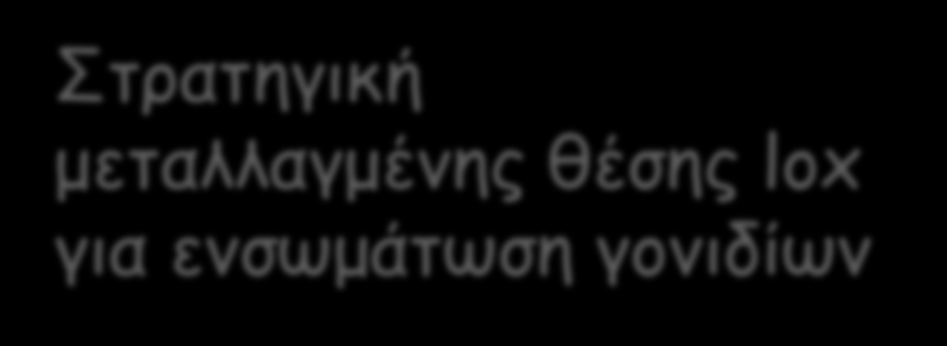Στρατηγική μεταλλαγμένης