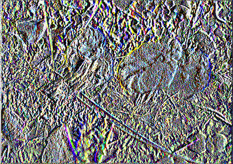 Εικόνα 9: Clavariadelphus truncatus (Γ. Ζερβάκης & Η.