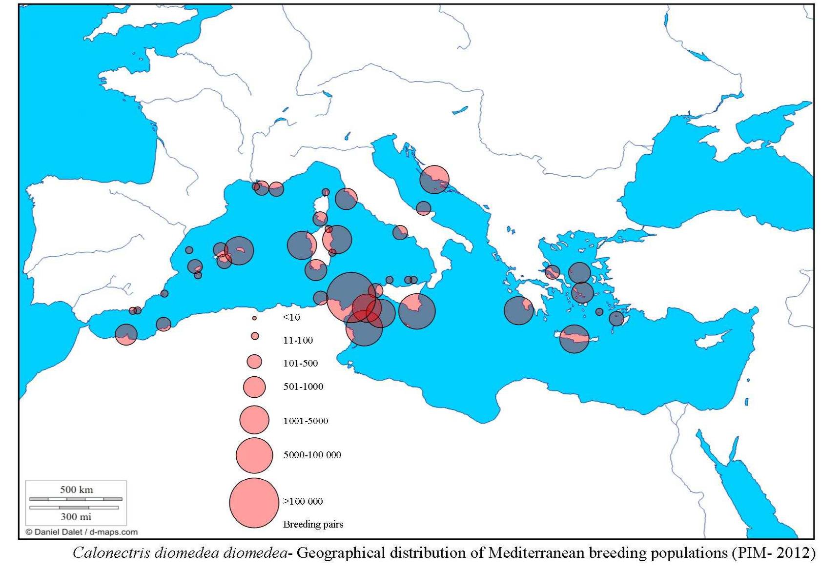 Συνολικός πληθυσμός στην Ελλάδα: 5.191-8.275 ζ. Παγκόσμιος πληθυσμός: 142.063-217.375 ζ. [Πηγή : Anselme L. & Durand J.P.
