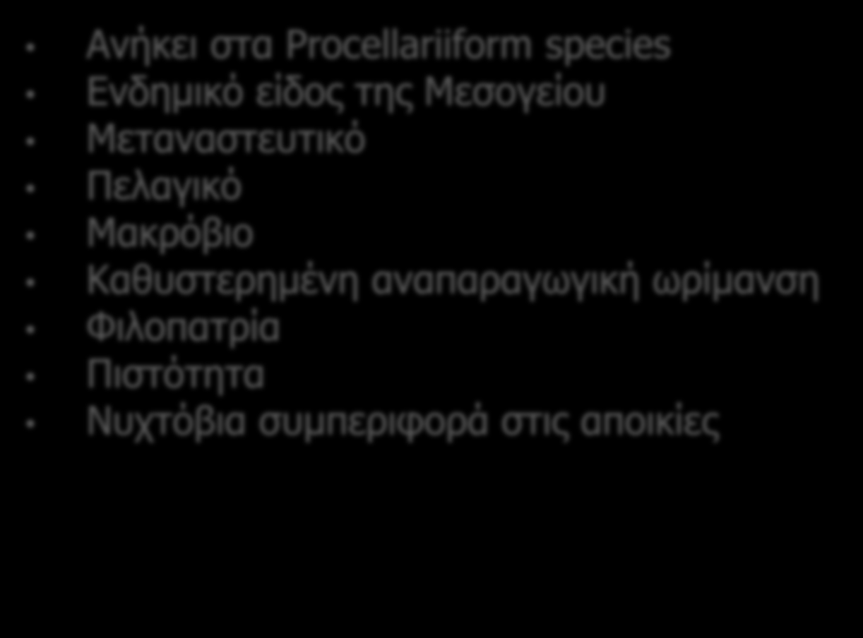 Οικολογία Αρτέμης Ανήκει στα Procellariiform