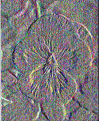 4.2.3.