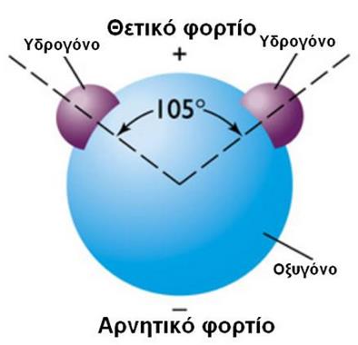 ζρεδφλ θαζνιηθά, ε αζηηθή, βηνκεραληθή θαη αγξνηηθή ξχπαλζε κεηψλνπλ ηελ πνηφηεηα ηνπ θπζηθνχ λεξνχ κε απνηέιεζκα λα αλαθχπηνπλ πξνβιήκαηα αθαλή ζηνλ απιφ θαηαλαισηή κε πηζαλέο καθξνπξφζεζκεο