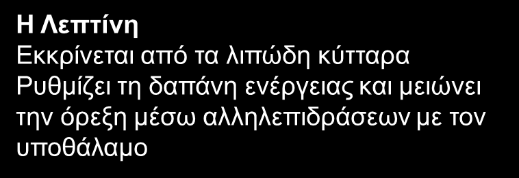 Ο λιπώδης ιστός λειτουργεί ώς ένα