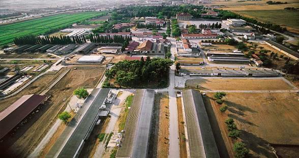 ΖΩΝΤΑΝΟ ΕΡΓΑΣΤΗΡΙΟ 67 ha campus 1.560 στρ.