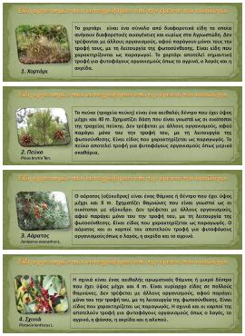 Αξιοποιούνται κατάλληλα και ποικιλία μέσων
