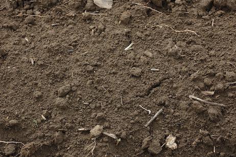 Έδαφος Λεπτή γη «Το λεπτόκοκκο ανώτερο στρώμα του στερεού φλοιού της γης» Έδαφος: κόκκοι 2 mm (άμμος, ιλύς,