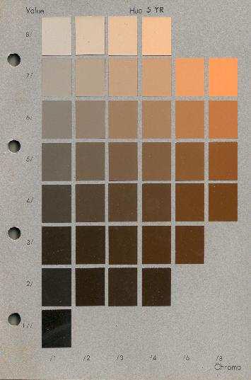 Χρώμα Οργανική ουσία μαύρο/καφέ Οξείδια-υδροξείδια Fe κόκκινο/ πορτοκαλί/ κίτρινο