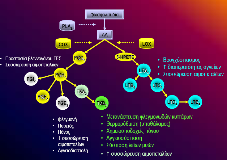 Μεσολαβητές Φλεγμονής (5) Δράση