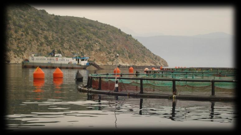 Το περιεχόμενο του Πλαισίου Το πρώτο μέρος του Πλαισίου περιγράφει τους βασικούς τύπους υδατοκαλλιεργειών και τις απαραίτητες υποδομές για κάθε τύπο.