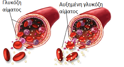 Ο σχηματισμός της HbA1c είναι ευθέως ανάλογος με τη συγκέντρωση της γλυκόζης στα RBC κατά τη διάρκεια του χρόνου ζωής τους ( 120 μέρες) Η HbA1c αποτελεί έναν εξαιρετικό δείκτη παρακολούθησης της