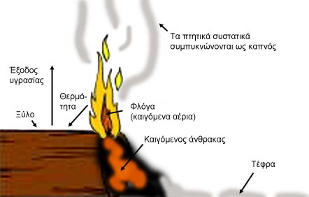 Εικόνα 2.19.Τα διάφορα στάδια της καύσης του ξύλου. Εικόνα 2.20. Πορεία καύσης και απανθράκωσης προς το εσωτερικό του ξύλου. 1. μέτωπο φωτιάς, 2. στρώμα άνθρακα, 3. βάση ανθρακοποίησης (300 ºC), 4.