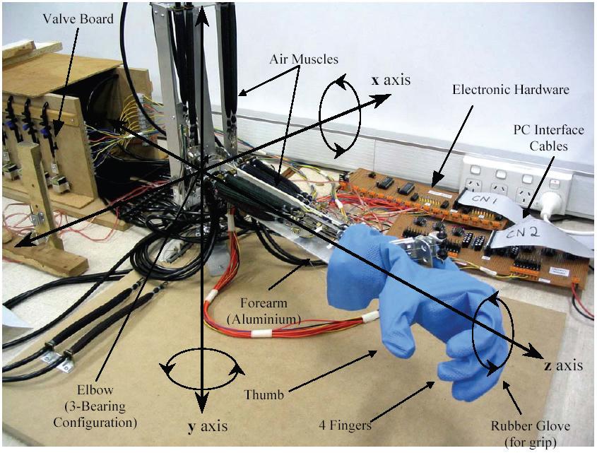 Robotic leg Χρησιμοποιούνται 2 Mckibben επεργητές για περιστροφή της κάθε