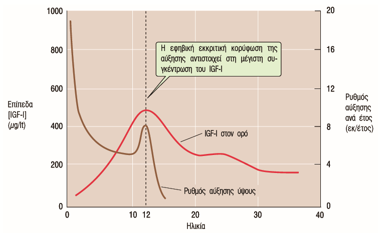 Αυξητική ορμόνη Οι κορυφώσεις στη συγκέντρωση της