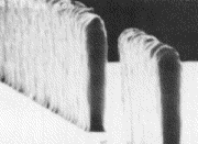Σχήμα 5.8: Δομές πλάτους 130nm που κατασκευάστηκαν με ΛΑΧ. (ΙΒΜ, Fishkill facility, NY) 5.5. Νέες Μέθοδοι Νανολιθογραφίας Όλες οι μέθοδοι λιθογραφίας που προαναφέραμε έχουν ένα μεγάλο μειονέκτημα: είναι πολύ ακριβές και απαιτούν την χρήση πηγών φωτονίων, ηλεκτρονίων κ.