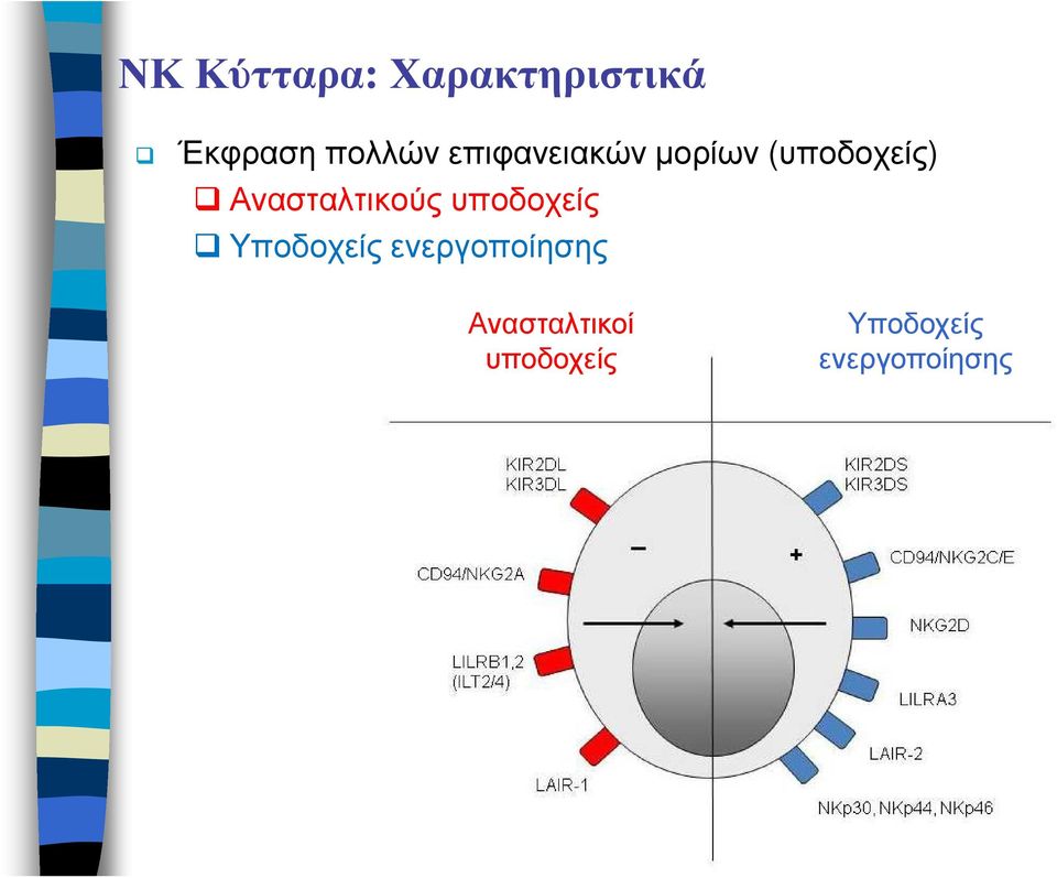 Ανασταλτικούς υποδοχείς Υποδοχείς