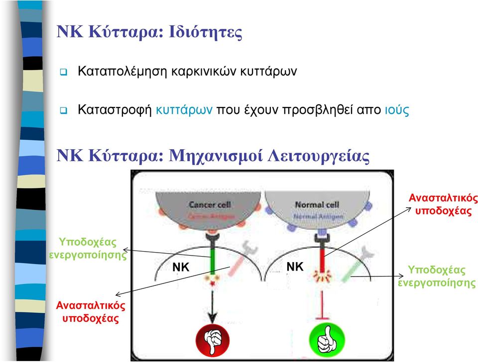 Κύτταρα: Μηχανισµοί Λειτουργείας Ανασταλτικός υποδοχέας