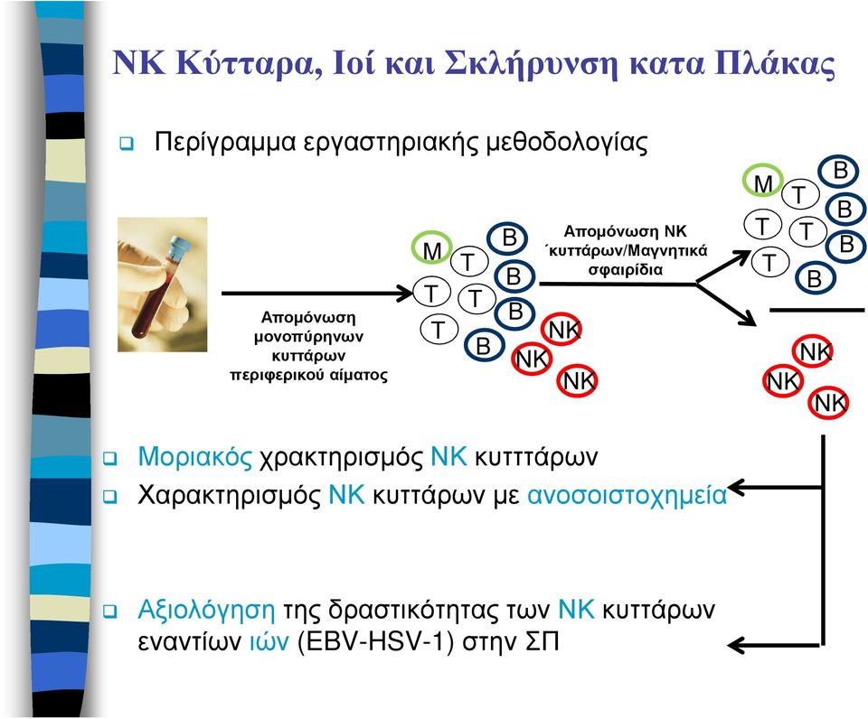 σφαιρίδια Β Β Μ Τ Β Τ Τ Β Τ Β Μοριακός χρακτηρισµός κυτττάρων Χαρακτηρισµός κυττάρων µε