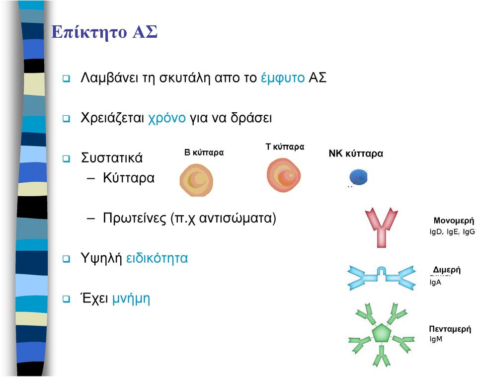 Κύτταρα κύτταρα Πρωτείνες (π.