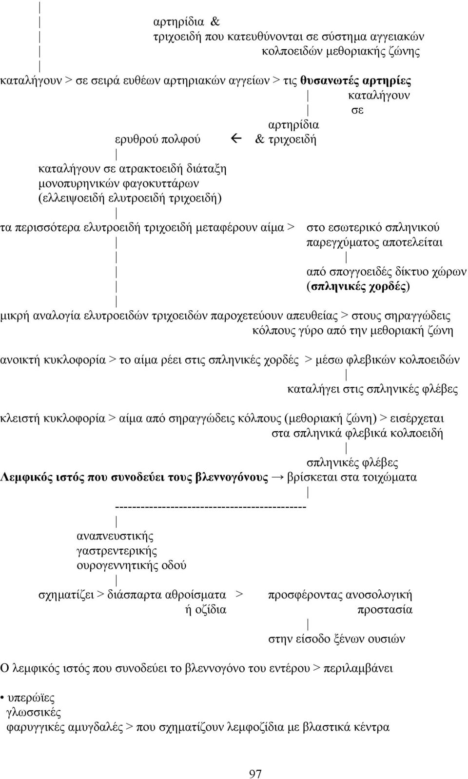 παρεγχύµατος αποτελείται από σπογγοειδές δίκτυο χώρων (σπληνικές χορδές) µικρή αναλογία ελυτροειδών τριχοειδών παροχετεύουν απευθείας > στους σηραγγώδεις κόλπους γύρο από την µεθοριακή ζώνη ανοικτή