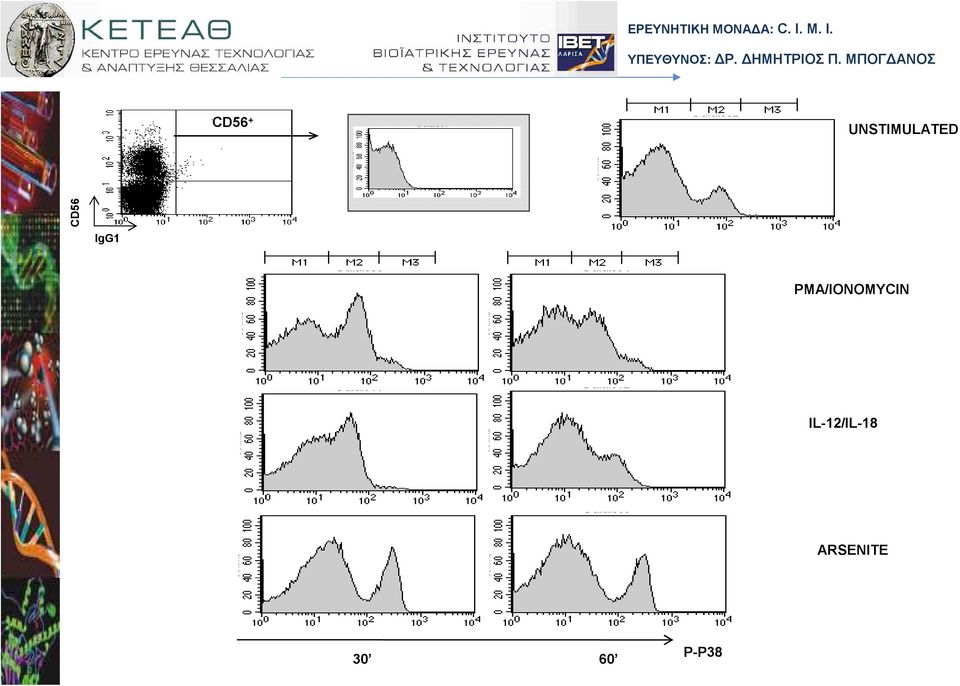 IgG1 PMA/IONOMYCIN