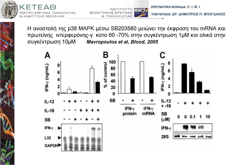 ιντερφερόνης-γ κατα 60-70% στην συγκέντρωση 1µΜ