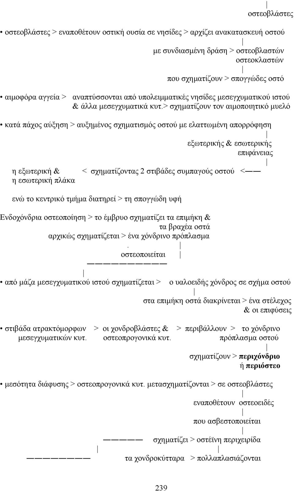 > σχηµατίζουν τον αιµοποιητικό µυελό κατά πάχος αύξηση > αυξηµένος σχηµατισµός οστού µε ελαττωµένη απορρόφηση εξωτερικής & εσωτερικής επιφάνειας η εξωτερική & < σχηµατίζοντας 2 στιβάδες συµπαγούς