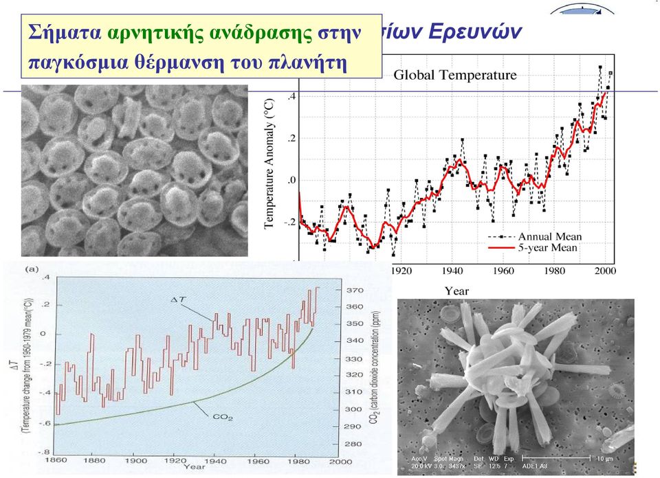 Κέντρο Θαλασσίων στην