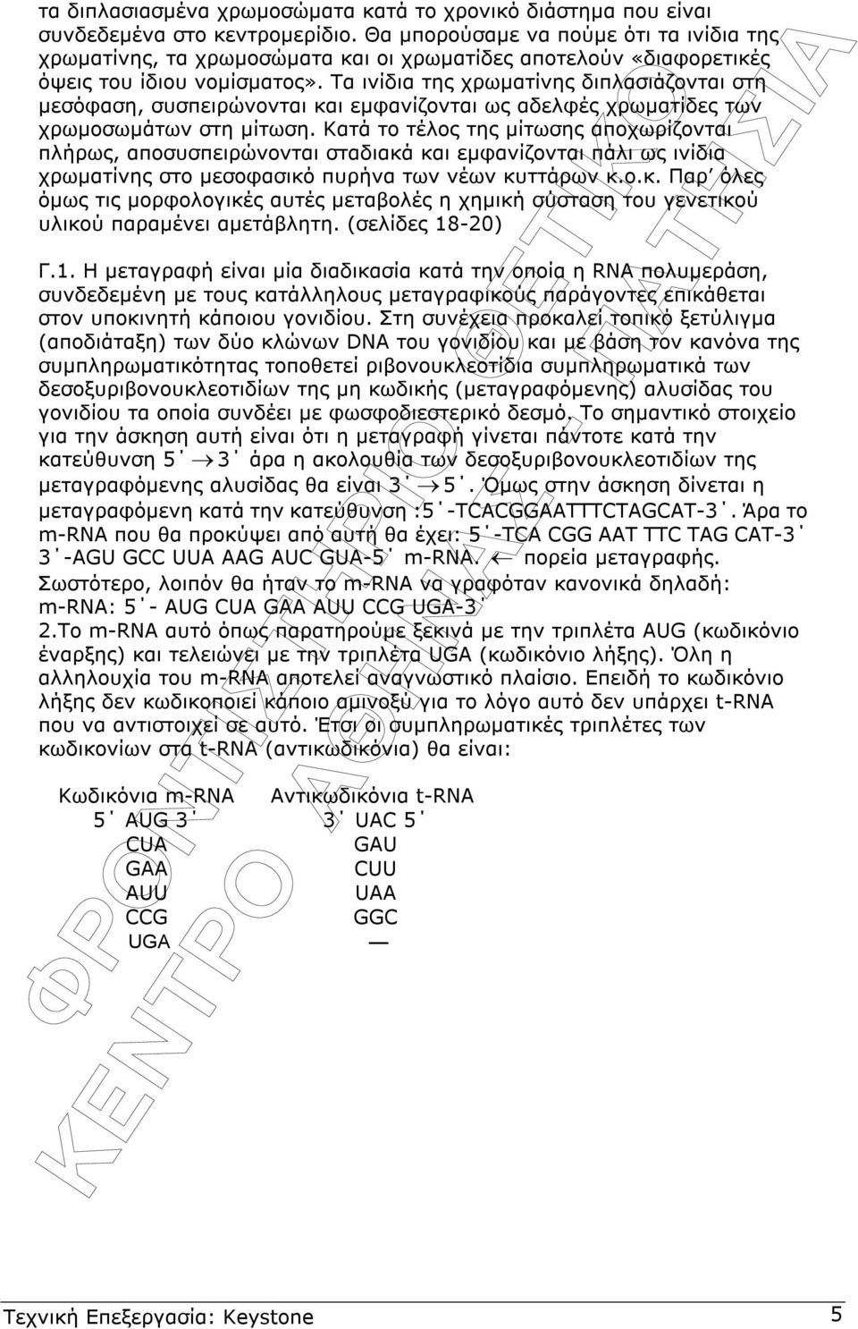 Τα ινίδια της χρωµατίνης διπλασιάζονται στη µεσόφαση, συσπειρώνονται και εµφανίζονται ως αδελφές χρωµατίδες των χρωµοσωµάτων στη µίτωση.