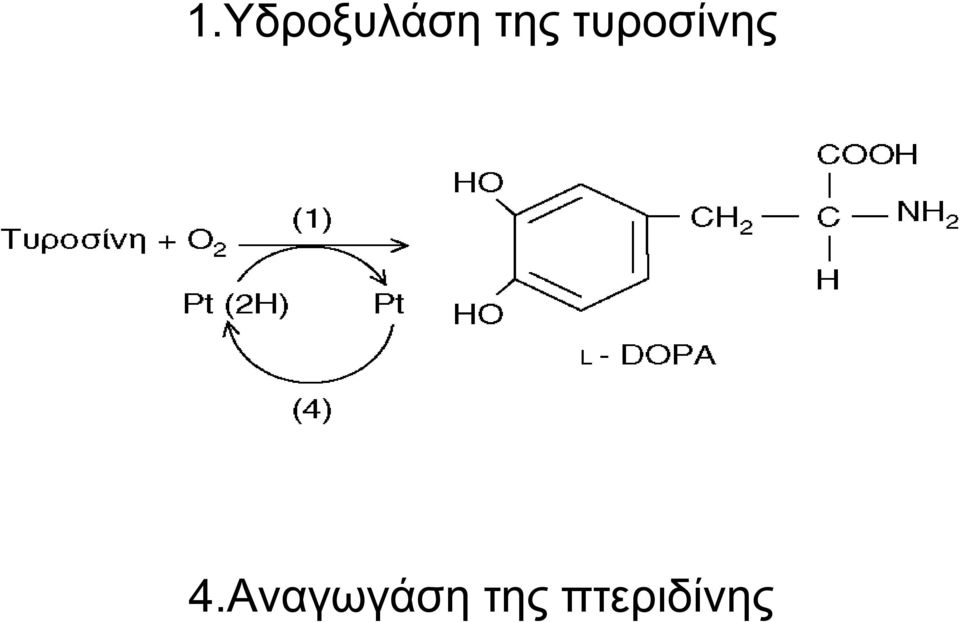 4.Αναγωγάση